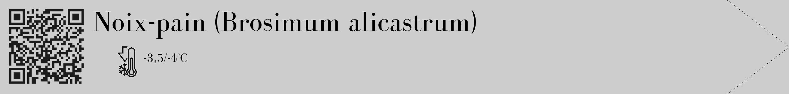 Étiquette de : Brosimum alicastrum - format c - style noire41_simple_simplebod avec qrcode et comestibilité