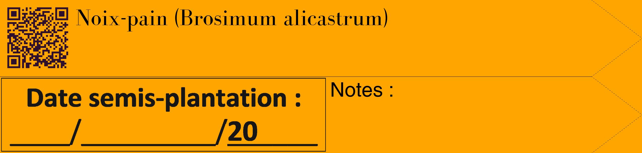 Étiquette de : Brosimum alicastrum - format c - style noire22_simple_simplebod avec qrcode et comestibilité