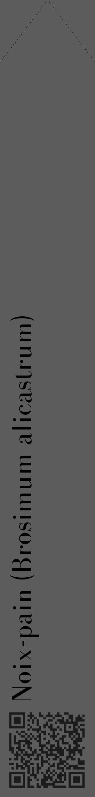 Étiquette de : Brosimum alicastrum - format c - style noire49_simple_simplebod avec qrcode et comestibilité - position verticale