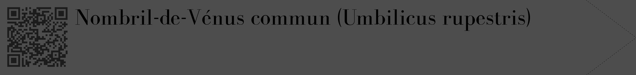 Étiquette de : Umbilicus rupestris - format c - style noire28_simple_simplebod avec qrcode et comestibilité