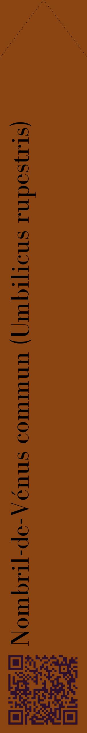 Étiquette de : Umbilicus rupestris - format c - style noire30_simplebod avec qrcode et comestibilité