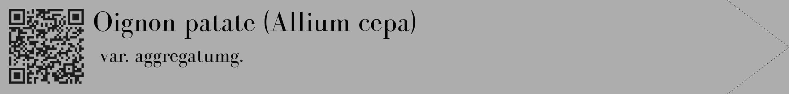Étiquette de : Allium cepa var. aggregatumg. - format c - style noire22_simple_simplebod avec qrcode et comestibilité