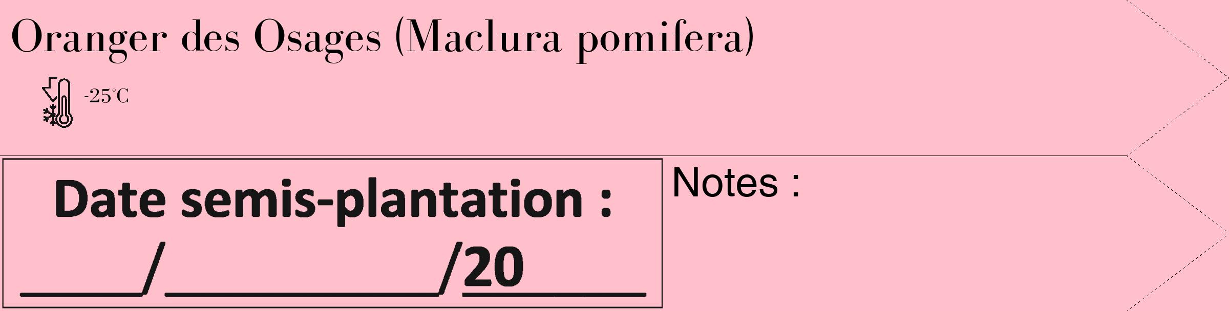 Étiquette de : Maclura pomifera - format c - style noire40_simple_simplebod avec comestibilité