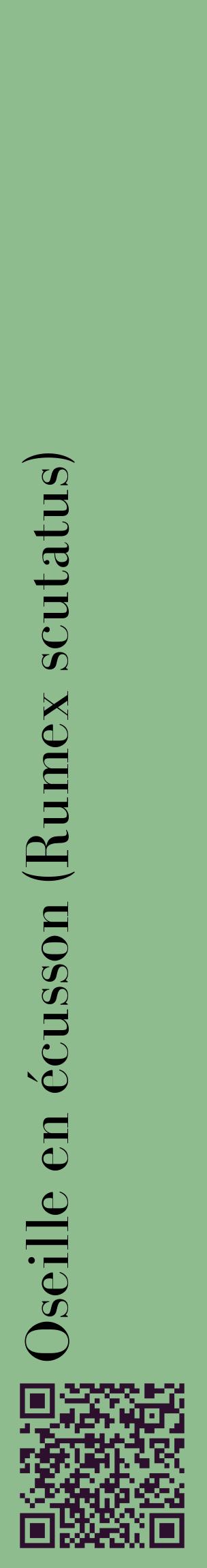 Étiquette de : Rumex scutatus - format c - style noire13_basiquebod avec qrcode et comestibilité