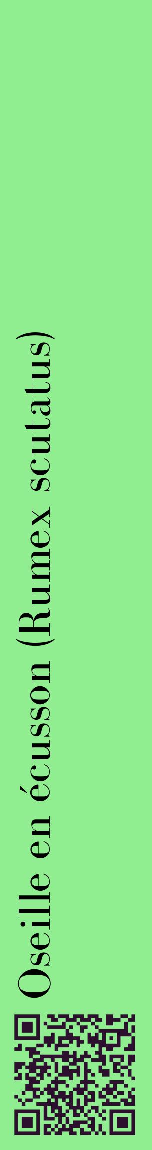 Étiquette de : Rumex scutatus - format c - style noire15_basiquebod avec qrcode et comestibilité