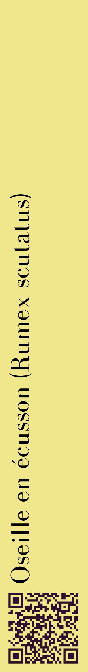 Étiquette de : Rumex scutatus - format c - style noire20_basiquebod avec qrcode et comestibilité