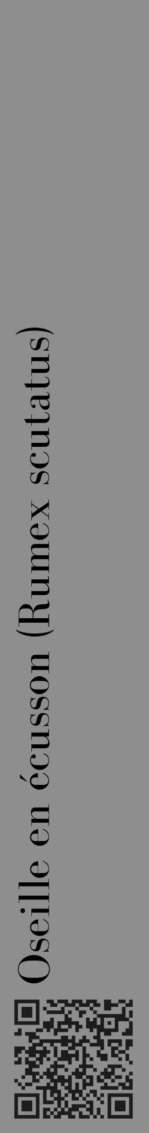 Étiquette de : Rumex scutatus - format c - style noire25_basique_basiquebod avec qrcode et comestibilité - position verticale