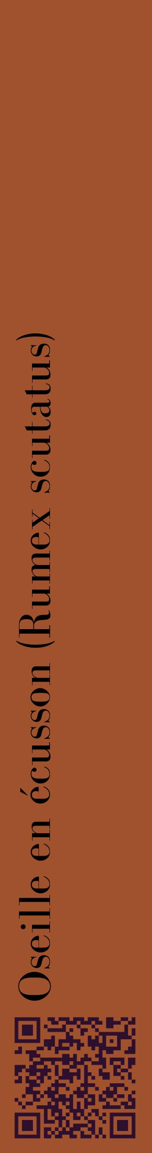 Étiquette de : Rumex scutatus - format c - style noire32_basiquebod avec qrcode et comestibilité