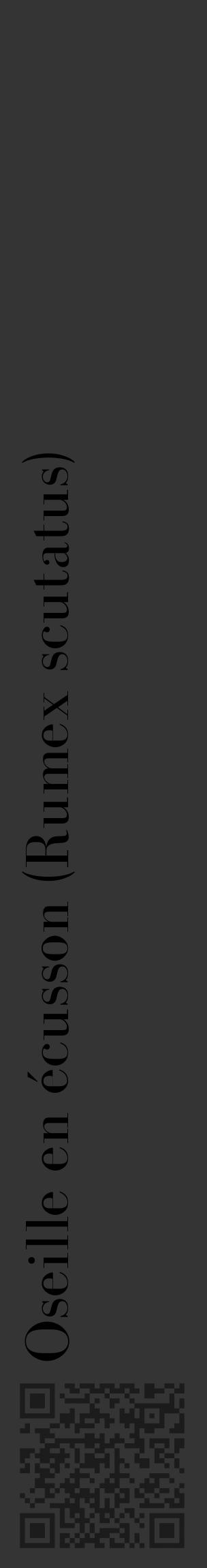 Étiquette de : Rumex scutatus - format c - style noire46_basique_basiquebod avec qrcode et comestibilité - position verticale