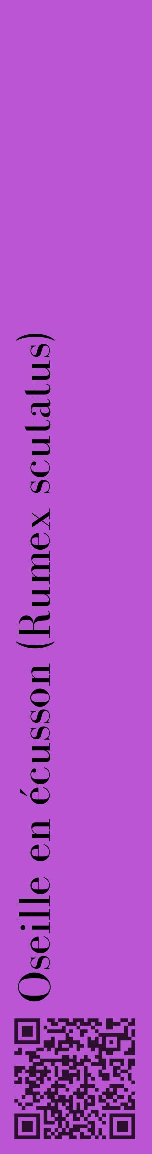 Étiquette de : Rumex scutatus - format c - style noire50_basiquebod avec qrcode et comestibilité