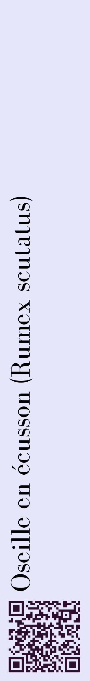 Étiquette de : Rumex scutatus - format c - style noire55_basiquebod avec qrcode et comestibilité