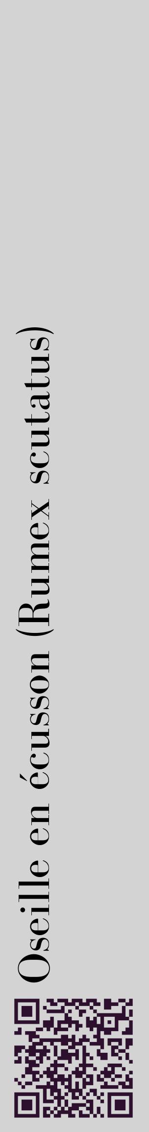 Étiquette de : Rumex scutatus - format c - style noire56_basiquebod avec qrcode et comestibilité