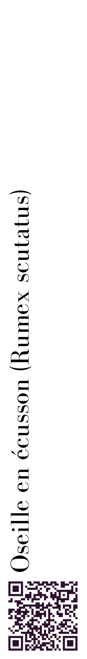 Étiquette de : Rumex scutatus - format c - style noire60_basiquebod avec qrcode et comestibilité
