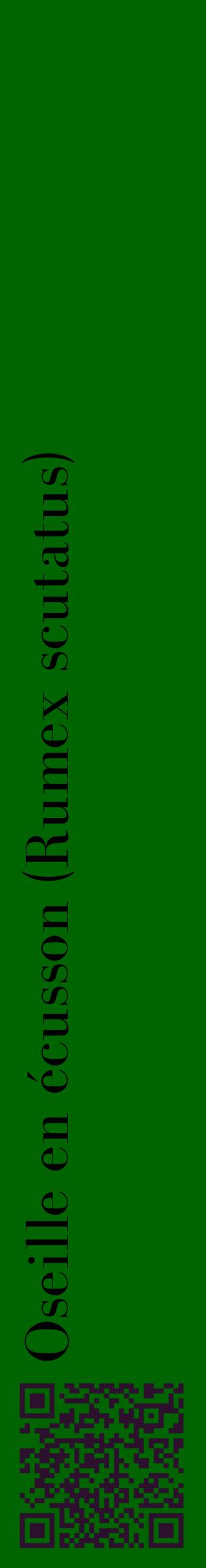 Étiquette de : Rumex scutatus - format c - style noire8_basiquebod avec qrcode et comestibilité
