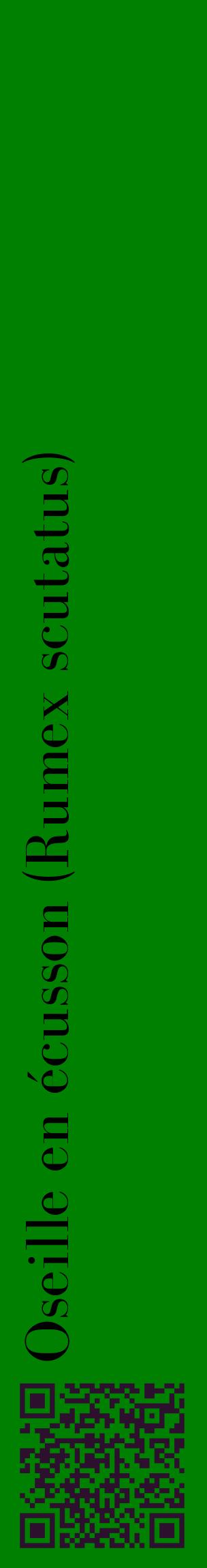 Étiquette de : Rumex scutatus - format c - style noire9_basiquebod avec qrcode et comestibilité