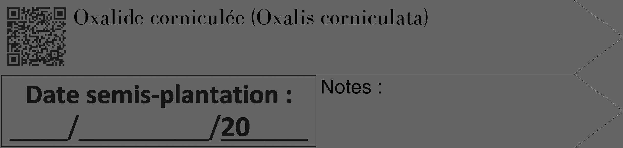 Étiquette de : Oxalis corniculata - format c - style noire32_simple_simplebod avec qrcode et comestibilité
