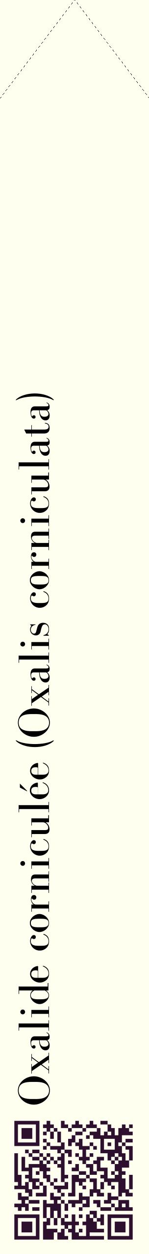 Étiquette de : Oxalis corniculata - format c - style noire19_simplebod avec qrcode et comestibilité
