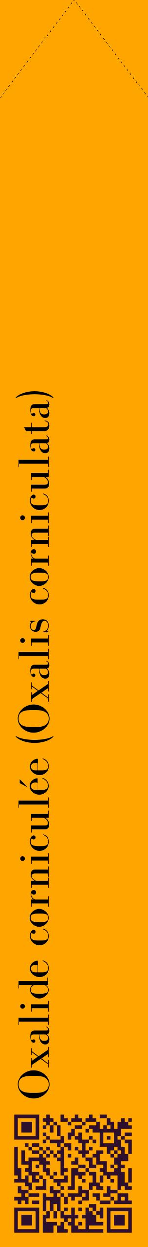 Étiquette de : Oxalis corniculata - format c - style noire22_simplebod avec qrcode et comestibilité