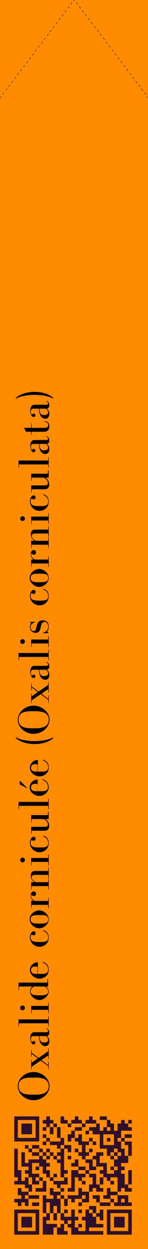 Étiquette de : Oxalis corniculata - format c - style noire23_simplebod avec qrcode et comestibilité