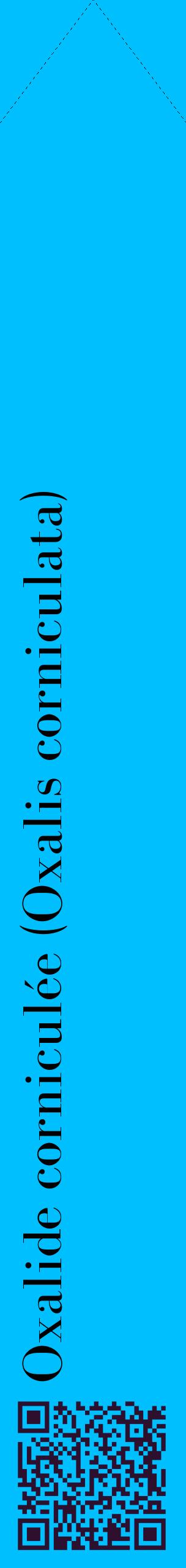Étiquette de : Oxalis corniculata - format c - style noire2_simplebod avec qrcode et comestibilité