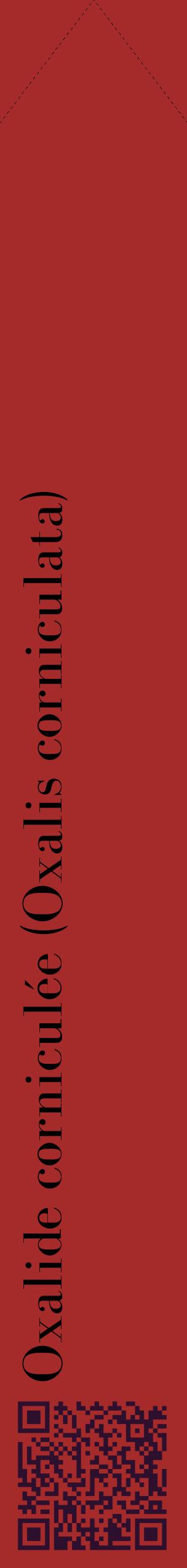 Étiquette de : Oxalis corniculata - format c - style noire33_simplebod avec qrcode et comestibilité