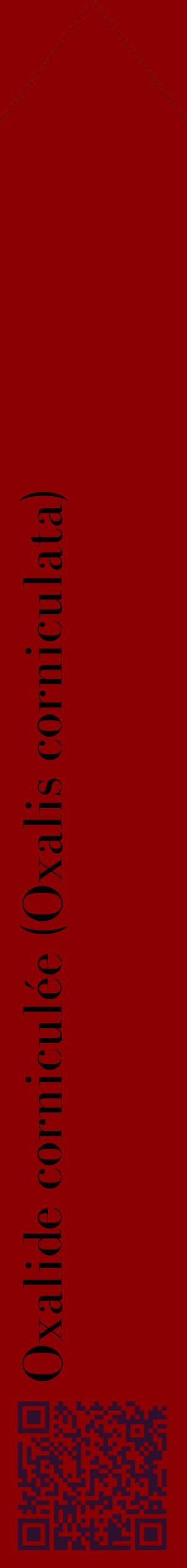 Étiquette de : Oxalis corniculata - format c - style noire34_simplebod avec qrcode et comestibilité