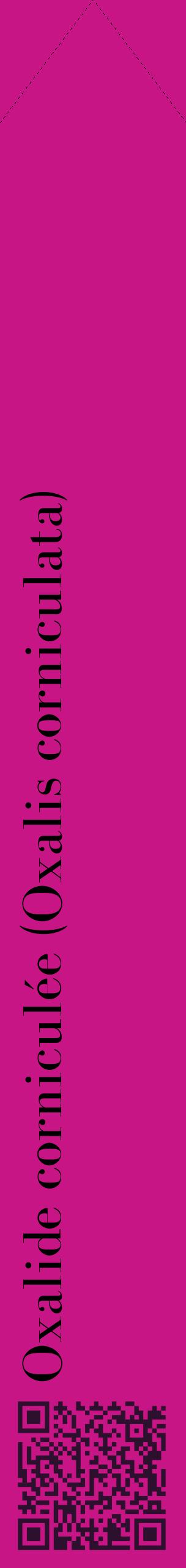 Étiquette de : Oxalis corniculata - format c - style noire45_simplebod avec qrcode et comestibilité