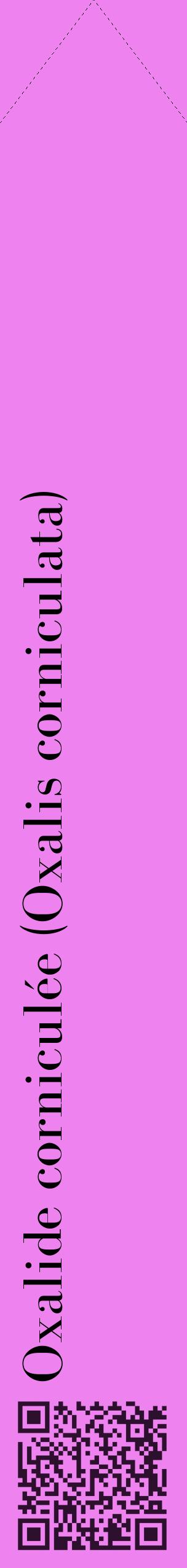 Étiquette de : Oxalis corniculata - format c - style noire53_simplebod avec qrcode et comestibilité
