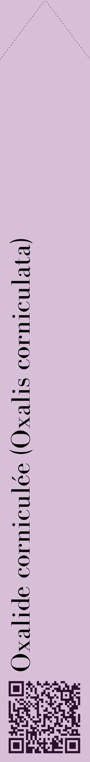Étiquette de : Oxalis corniculata - format c - style noire54_simplebod avec qrcode et comestibilité