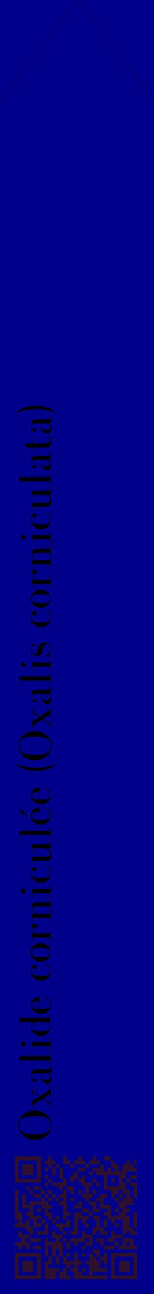 Étiquette de : Oxalis corniculata - format c - style noire7_simplebod avec qrcode et comestibilité