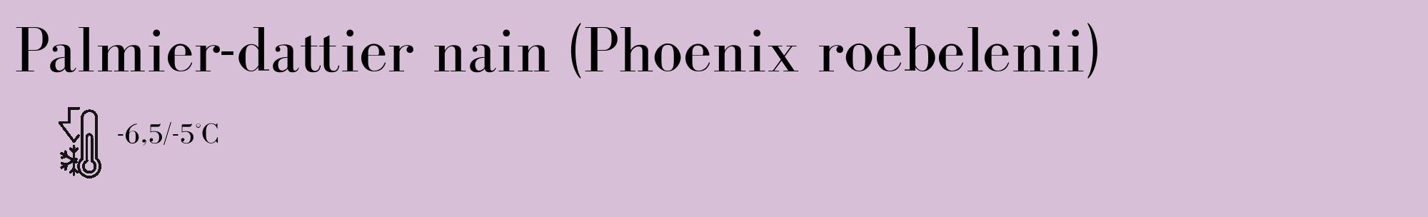 Étiquette de : Phoenix roebelenii - format c - style noire54_basique_basiquebod avec comestibilité