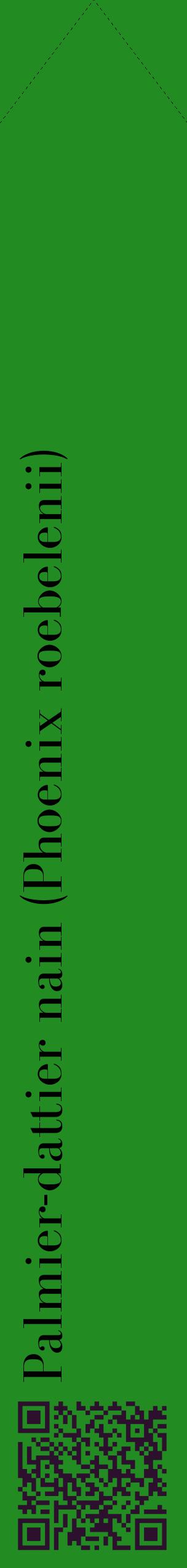 Étiquette de : Phoenix roebelenii - format c - style noire10_simplebod avec qrcode et comestibilité