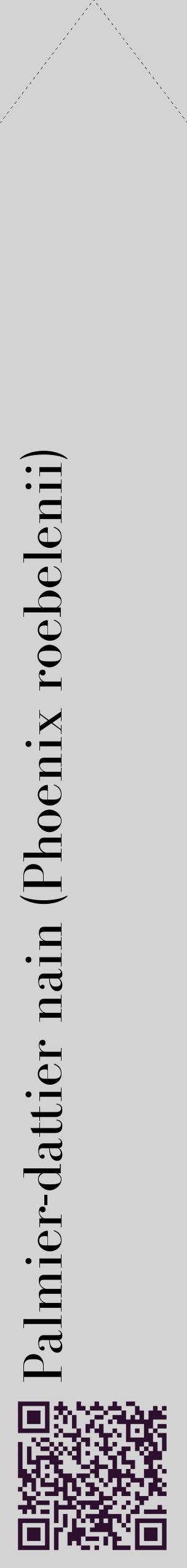 Étiquette de : Phoenix roebelenii - format c - style noire56_simplebod avec qrcode et comestibilité