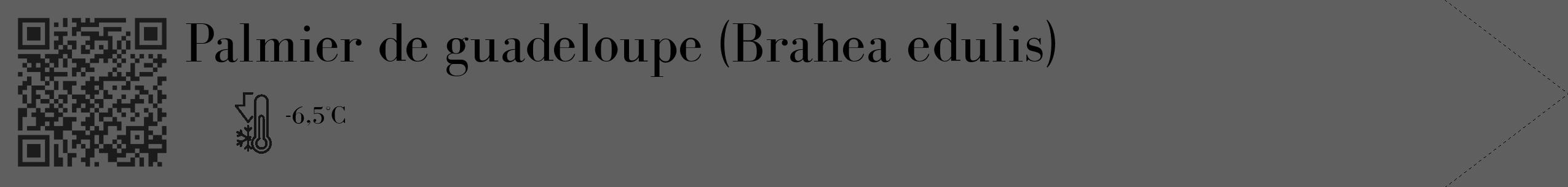 Étiquette de : Brahea edulis - format c - style noire10_simple_simplebod avec qrcode et comestibilité