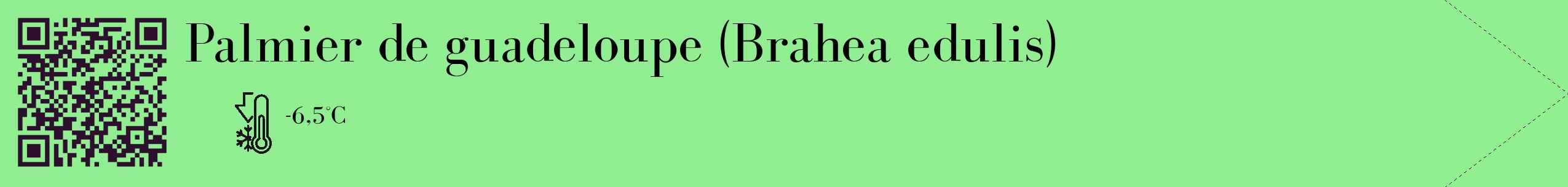 Étiquette de : Brahea edulis - format c - style noire15_simple_simplebod avec qrcode et comestibilité
