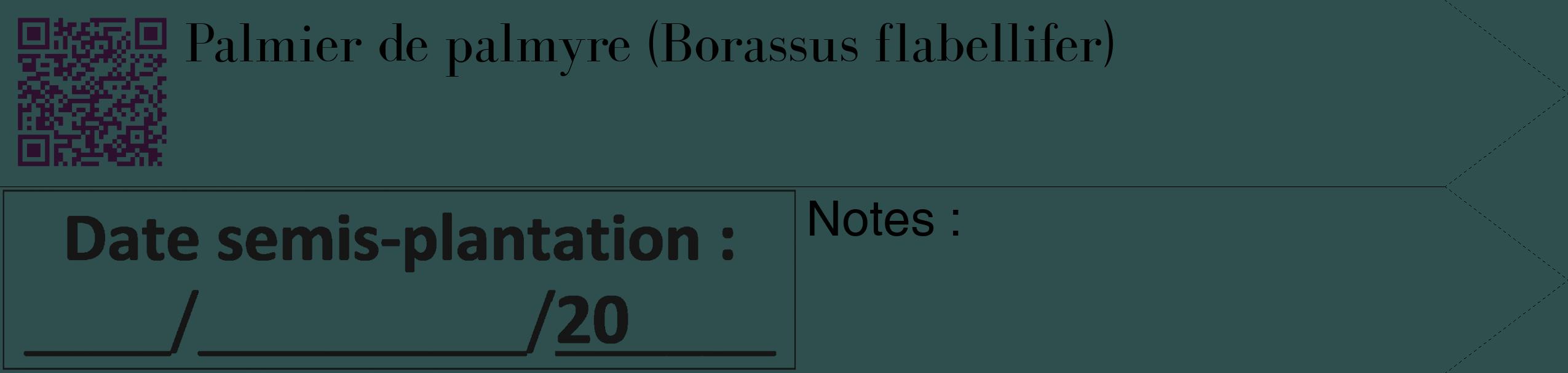Étiquette de : Borassus flabellifer - format c - style noire58_simple_simplebod avec qrcode et comestibilité