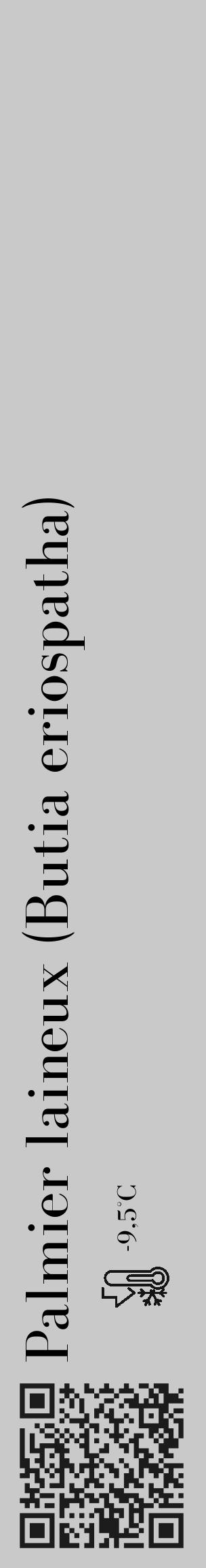 Étiquette de : Butia eriospatha - format c - style noire54_basique_basiquebod avec qrcode et comestibilité - position verticale