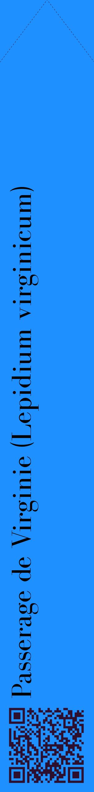 Étiquette de : Lepidium virginicum - format c - style noire3_simplebod avec qrcode et comestibilité