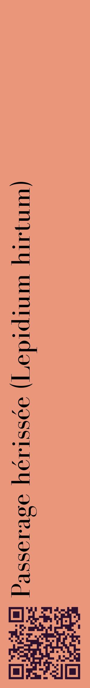 Étiquette de : Lepidium hirtum - format c - style noire37_basiquebod avec qrcode et comestibilité