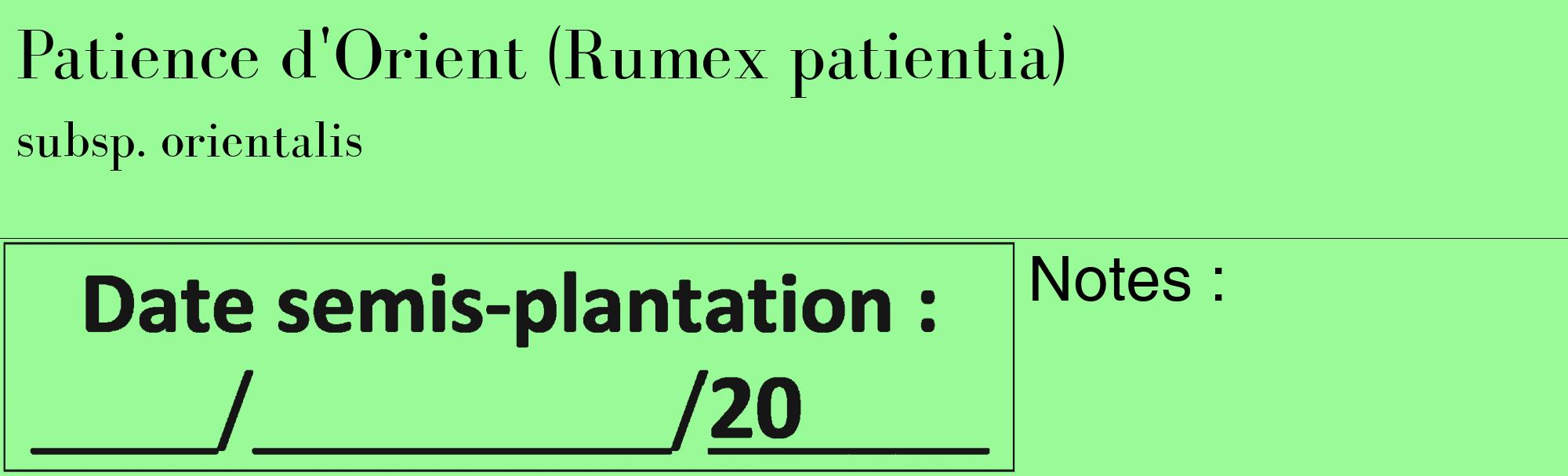 Étiquette de : Rumex patientia subsp. orientalis - format c - style noire14_basique_basiquebod avec comestibilité
