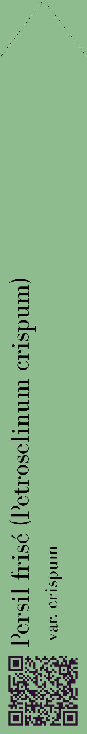 Étiquette de : Petroselinum crispum var. crispum - format c - style noire13_simplebod avec qrcode et comestibilité