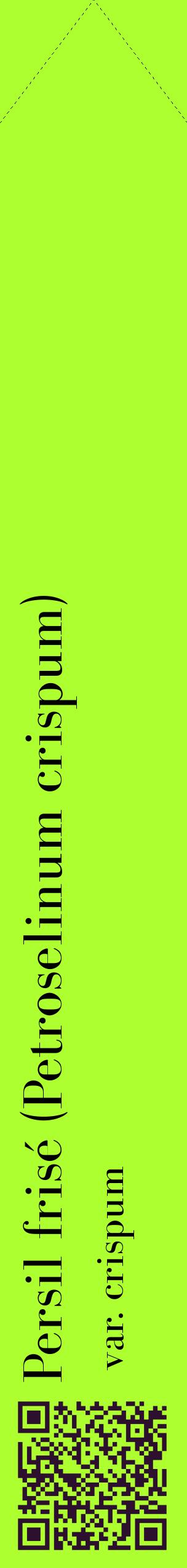 Étiquette de : Petroselinum crispum var. crispum - format c - style noire17_simplebod avec qrcode et comestibilité