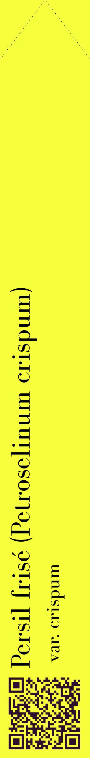 Étiquette de : Petroselinum crispum var. crispum - format c - style noire18_simplebod avec qrcode et comestibilité