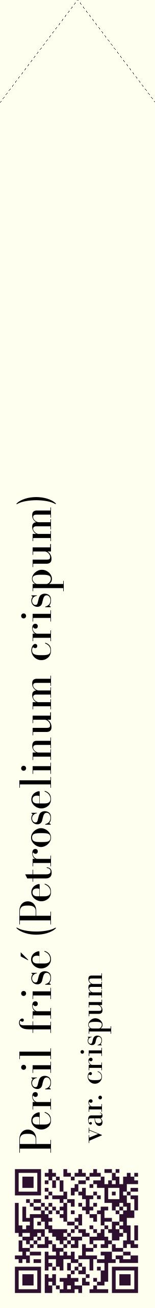 Étiquette de : Petroselinum crispum var. crispum - format c - style noire19_simplebod avec qrcode et comestibilité