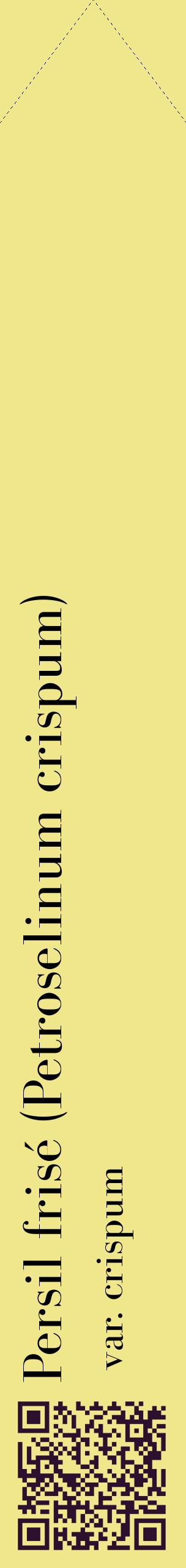 Étiquette de : Petroselinum crispum var. crispum - format c - style noire20_simplebod avec qrcode et comestibilité