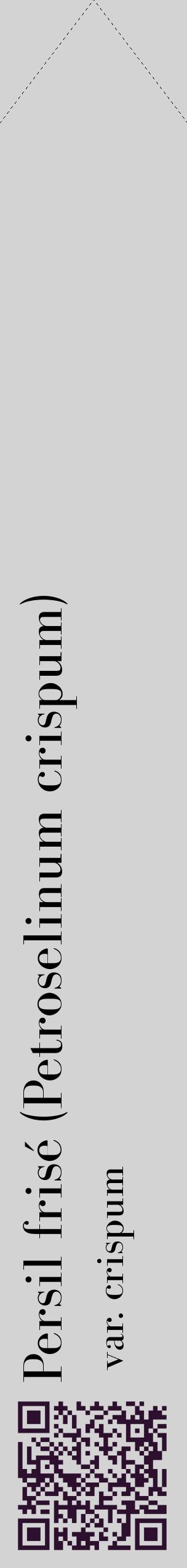 Étiquette de : Petroselinum crispum var. crispum - format c - style noire56_simplebod avec qrcode et comestibilité