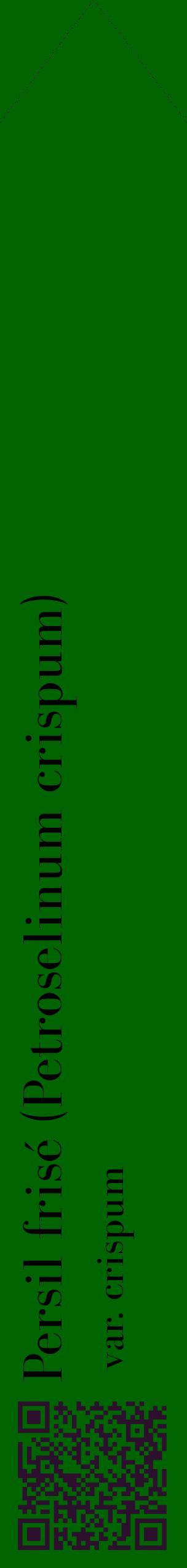Étiquette de : Petroselinum crispum var. crispum - format c - style noire8_simplebod avec qrcode et comestibilité
