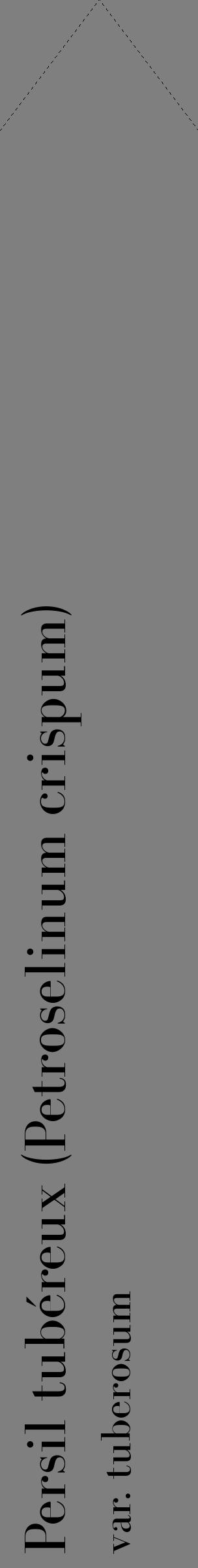 Étiquette de : Petroselinum crispum var. tuberosum - format c - style noire31_simple_simplebod avec comestibilité - position verticale