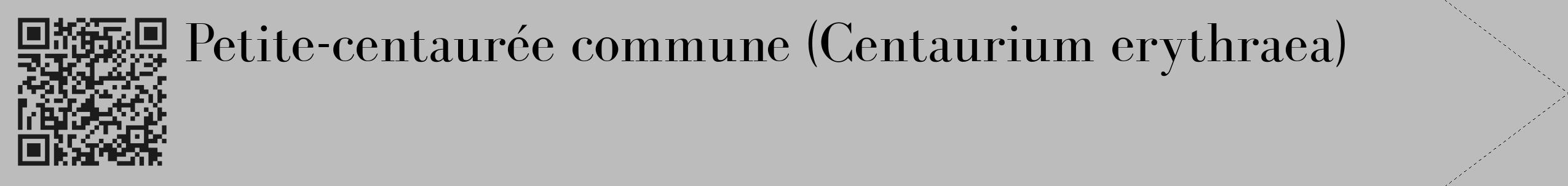 Étiquette de : Centaurium erythraea - format c - style noire1_simple_simplebod avec qrcode et comestibilité