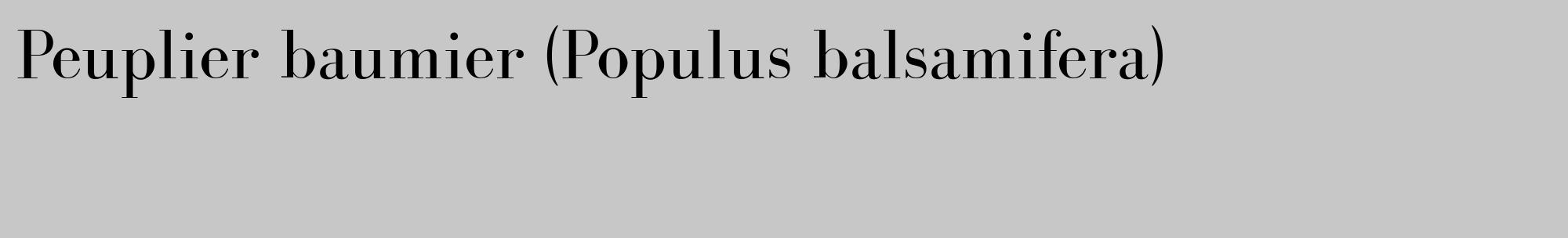 Étiquette de : Populus balsamifera - format c - style noire15_basique_basiquebod avec comestibilité